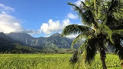Visuel de Hawaii, retour aux sources