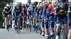 Heistse Pijl Cyclisme Belgian Cycling Cup 2017