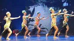 Sur France Ô à 22h45 : Heiva i Paris 2018