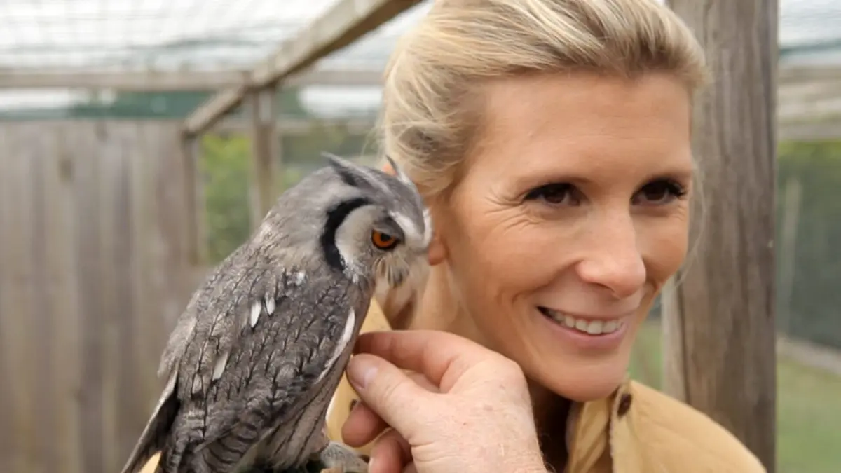 Visuel de Hélène et les animaux