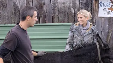 Sauver les animaux, une passion !