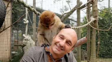 Ces animaux stars de cinéma!