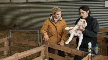 Travailler avec les animaux, une vocation