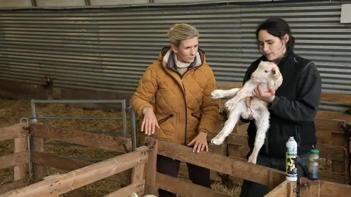 Hélène et les animaux Travailler avec les animaux, une vocation