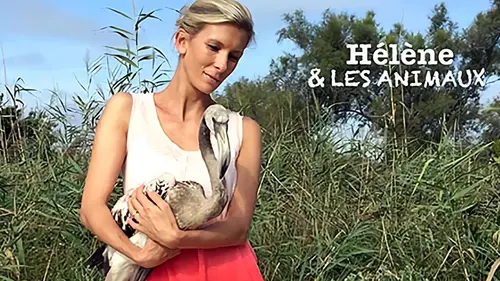Hélène et les animaux Ces animaux tout droit sortis du Moyen Âge