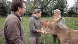Hélène et les animaux  Les trésors cachés des animaux