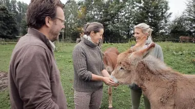 Les trésors cachés des animaux