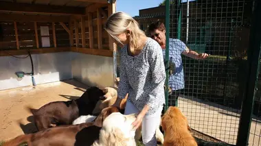 Chiens d'exception pour une nouvelle vie