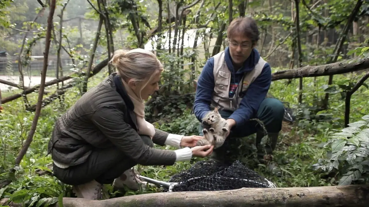 Visuel de Hélène et les animaux