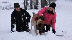 Hélène et les animaux