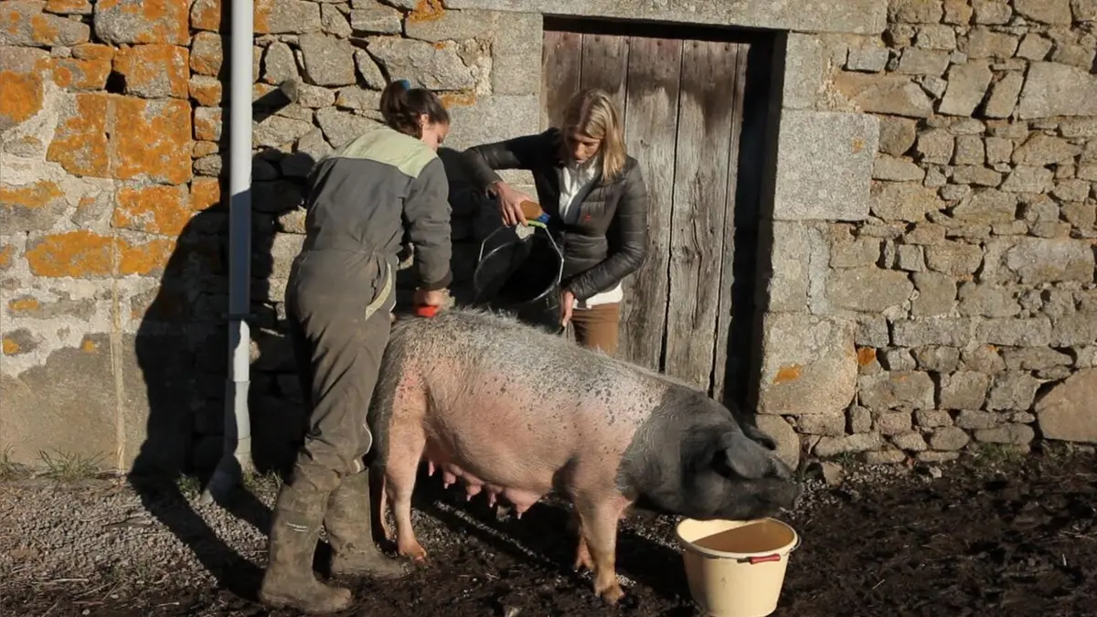 Hélène et les animaux Les animaux ambassadeurs de nos régions