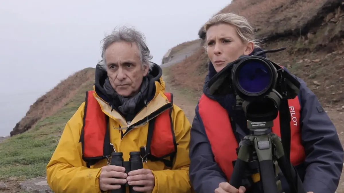 Hélène et les animaux Les animaux du littoral