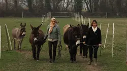 Visuel de Hélène et les animaux
