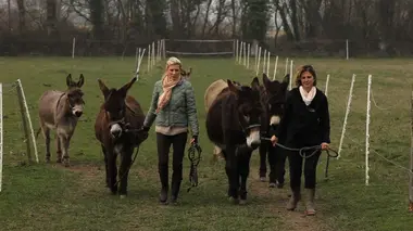 Se ressourcer grâce aux animaux