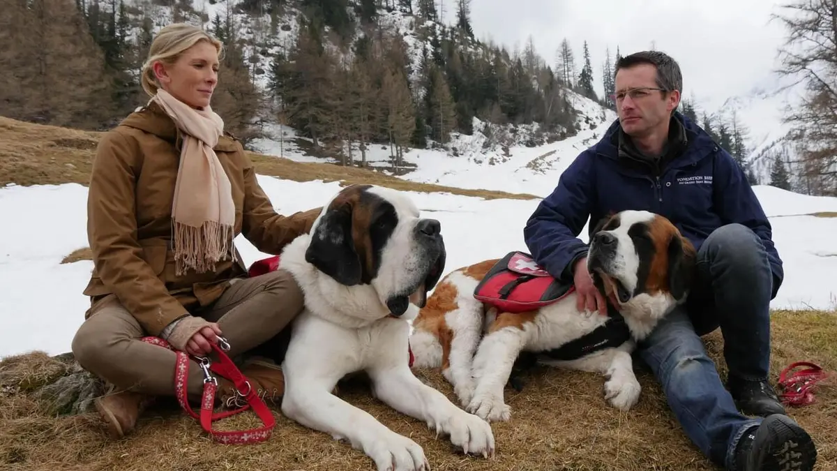 Hélène et les animaux Les animaux de la tradition suisse