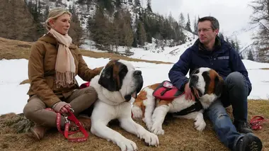 Les animaux de la tradition suisse
