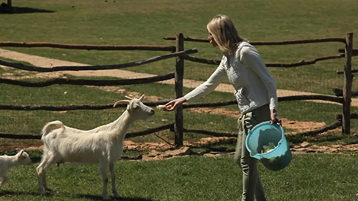 Hélène et les animaux Croatie, un nouvel eldorado pour les animaux ?