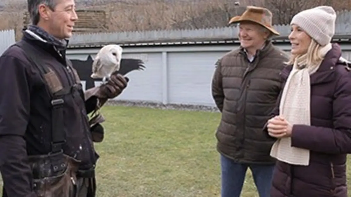 Hélène et les animaux S02E13 Des animaux de génie en Irlande