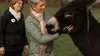 Hélène et les animaux S02E16 Se ressourcer grâce aux animaux (2015)