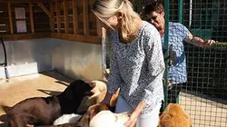 Hélène et les animaux