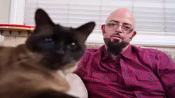 Hell's Cats Mamma Mia !