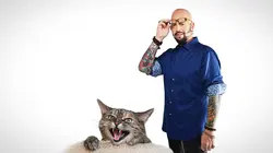 Visuel de Hell's Cats