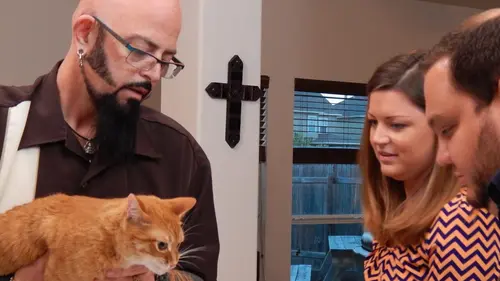 Hell's Cats Attaque surprise !