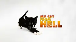 Visuel de Hell's Cats