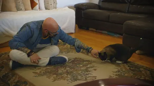 Hell's Cats Mon chat de thérapie a besoin d'une thérapie