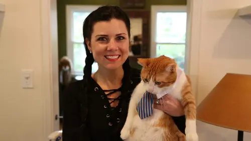 Hell's Cats Gentil matou, méchant matou