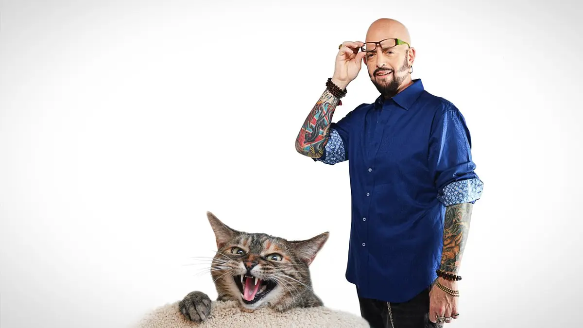 Visuel de Hell's Cats Max déteste ma famille