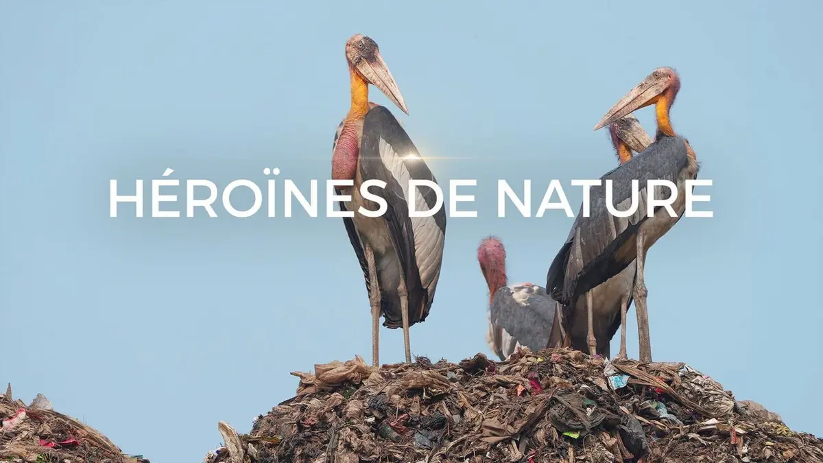 Héroïnes de nature La femme marabout