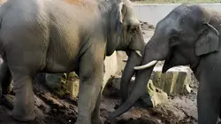 Het echte leven in de ZOO