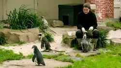 Het echte leven in de ZOO