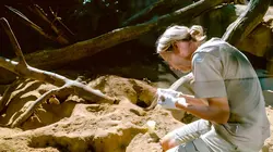 Het echte leven in de ZOO