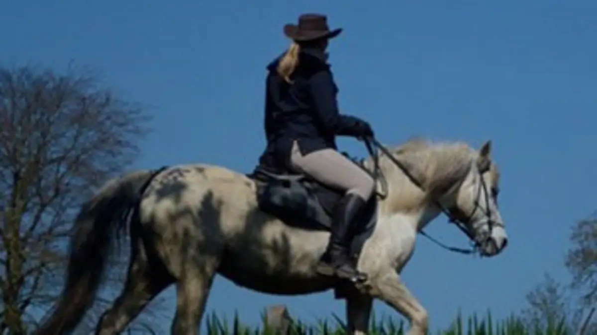 Heureux comme un Breton au soleil