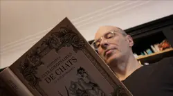 Heureux comme un chat