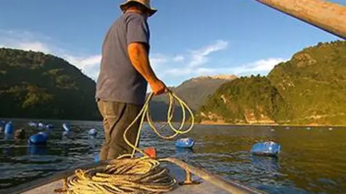 Heureux comme un poisson dans l'eau