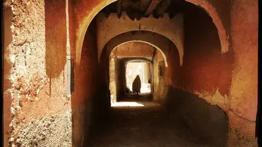 Alger aux multiples facettes