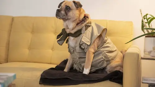 High Maintenance S04E08 Signes et sens