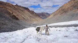 Himalaya, la marche au-dessus