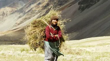 Himalaya, la terre des femmes