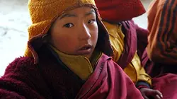 Visuel de Himalaya, le chemin du ciel