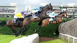Visuel de Hippisme Grand Steeple Chase de Paris 2016
