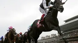 Visuel de Hippisme Prix de l'Arc de Triomphe 2016
