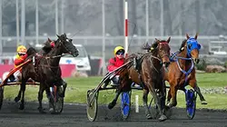 Visuel de Hippisme Prix d'Amérique 2017