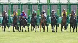 Visuel de Hippisme Prix de l'Arc de Triomphe 2018