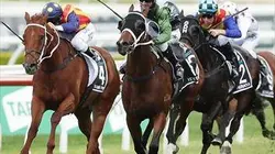 Visuel de Hippisme Breeders Cup 2019