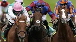 Sur Eurosport 2 à 20h05 : Hippisme Melbourne Cup 2019