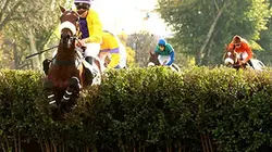 Visuel de Hippisme Jour de Grand Steeple 2015